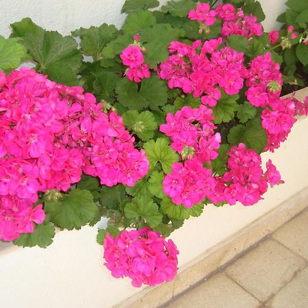 Guesthouse Iva Хвар Екстериор снимка